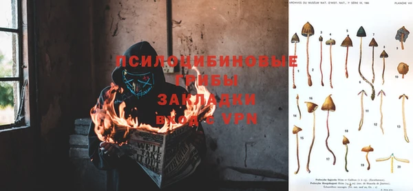 соль ск Абаза