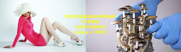 соль ск Абаза