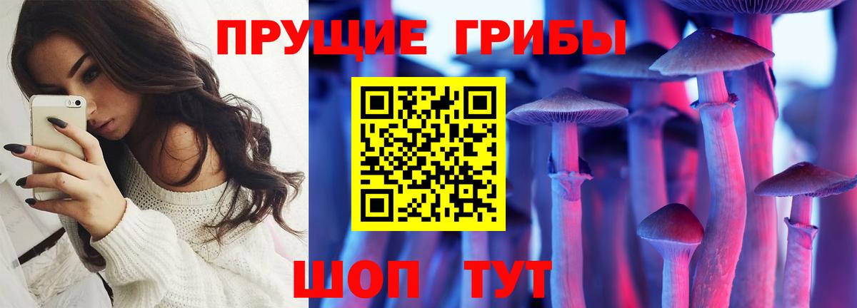 Псилоцибиновые грибы мухоморы Кимовск
