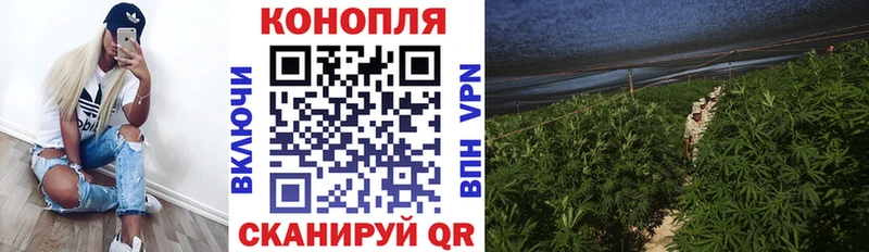 Бошки Шишки AK-47  Кимовск 